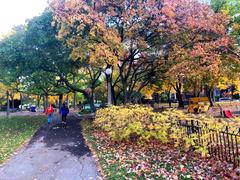 Dundonald Park in Ottawa looking east towards Lyon St.