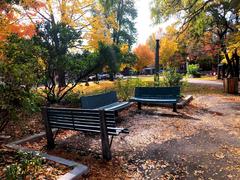 Dundonald Park in Centretown, Ottawa, Canada