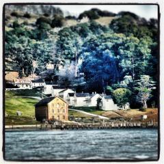 A view of Angel Island with lush green flora and surrounding blue waters, captured from a high vantage point