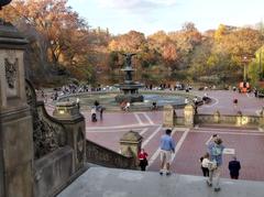 Bethesda Terrace & Fountain in Central Park, November 2020