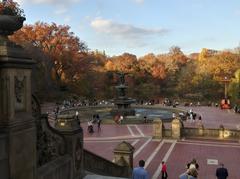 Bethesda Terrace & Fountain in Central Park, November 2020