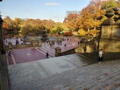 Bethesda Terrace & Fountain in Central Park in November 2020