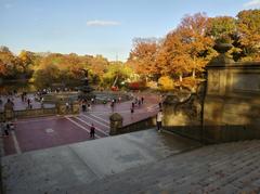 Bethesda Terrace and Fountain in Central Park, November 2020