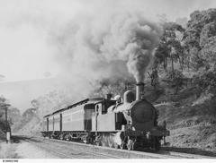 South Australian Railways F 242 hauling a passenger train at Eden Hills, 1952