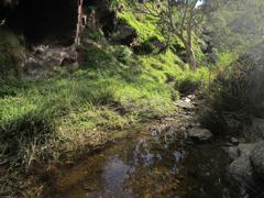 unnamed creek in Shepherds Hill Recreation Park, South Australia