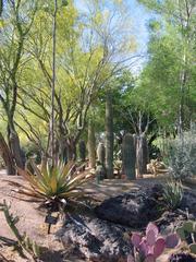 Ethel M Cactus Garden near Las Vegas