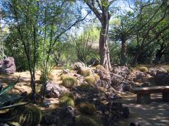 Ethel M Cactus Garden