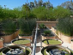 Living Machine water treatment facility at Ethel M Botanical Cactus Garden