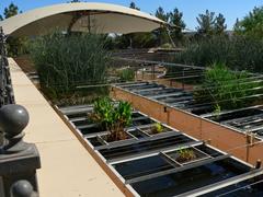 Living Machine water treatment facility at Ethel M Botanical Cactus Garden