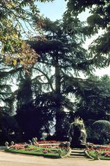 Fountain with flower beds and Atlas cedar at Quinta del Berro Gardens in Madrid, Spain