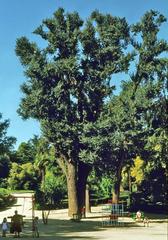 Children playground at Quinta del Berro Gardens in Madrid, Spain