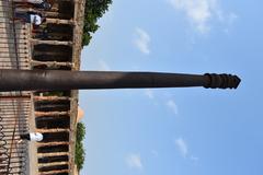 Ashokan Pillar in Delhi, an ASI monument