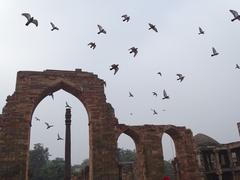 Historic Iron Pillar near Qutub Minar ruins