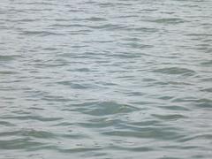 Fateh Sagar Lake, Udaipur