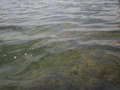 Fateh Sagar Lake, Udaipur, Rajasthan, India