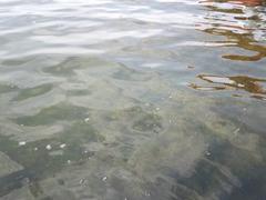 Fateh Sagar Lake in Udaipur, Rajasthan, India