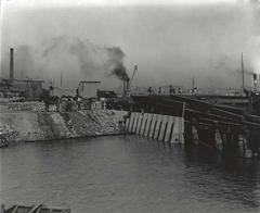 Construction of rat proof wharf at Darling Harbour