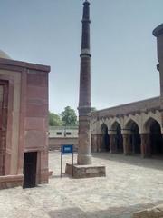 Firoz Shah Palace ruins with surrounding greenery