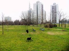 Fontanili park in Milan with natural spring