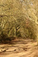 Bridleway in Shotover Country Park