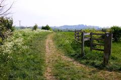 Footpath joins bridleway in rural landscape