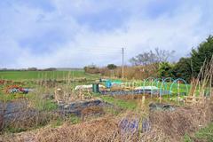 Allotments at Forest Hill