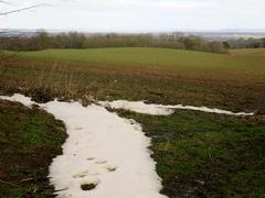 Arable field on Shotover Hill