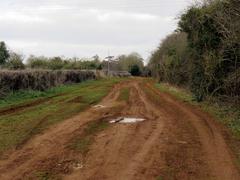 Blenheim Road running up to Old Road