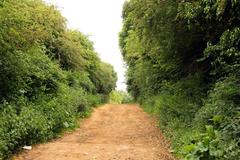 Bridleway to Horspath