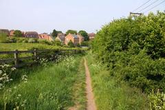 Bridleway to Sandhills in the countryside