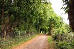 Bridleway leading to the A40