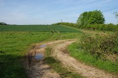 Farm tracks near Forest Hill