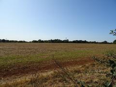 Farmland in Shotover Plain