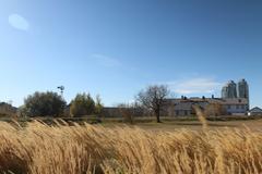 Pleasant day in Calgary with people walking in town