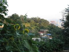 Seoul city wall in August 2007