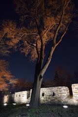 Around Seoul Tower during day and night with contrasting ambiance.