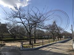 Tempozan Ferris Wheel and Tempozan Park