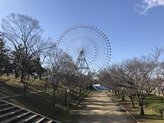 Grand Ferris Wheel of Tempozan Harbor Village viewed from Tempozan Park