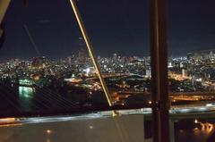 Night-time view of Osaka city from Tempozan Ferris Wheel