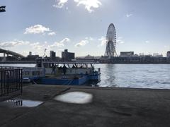 View from Sakurajima Ferry Terminal towards Tenpozan