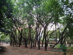 Freedom Park Bengaluru 2024