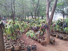 Freedom Park in Bengaluru