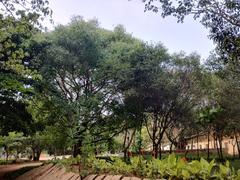 A scenic view of Freedom Park in Bengaluru with green lawns and scattered trees