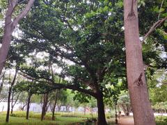 Freedom Park, Bengaluru 2024