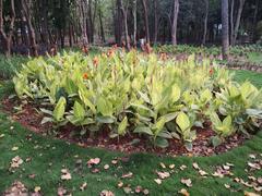 Freedom Park Bengaluru 2024