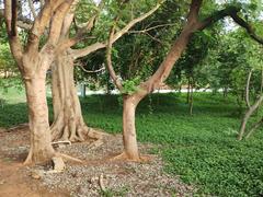 Freedom Park in Bengaluru, 2024