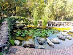 garden pond in the backyard of Gamble House, Pasadena