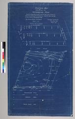 Contour map of 240 ft. lot in Westmoreland Place with house outline