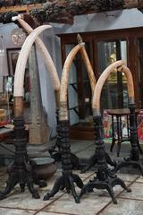 Ornate elephant tusks at Gangaramaya Temple