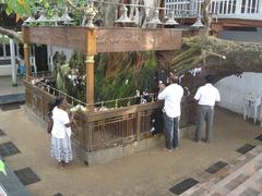 Gangaramaya Temple in Colombo